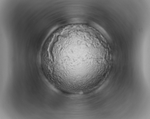 X0000113981236200910091311