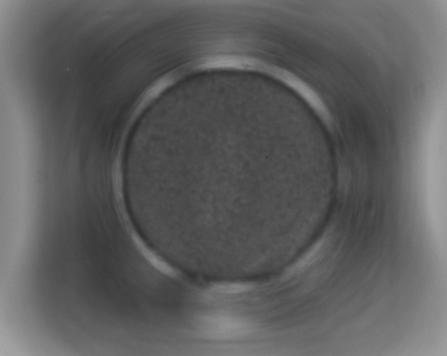 X0000113981237200910091311