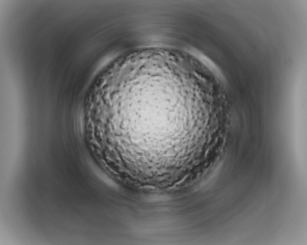 X0000113981238200910091311