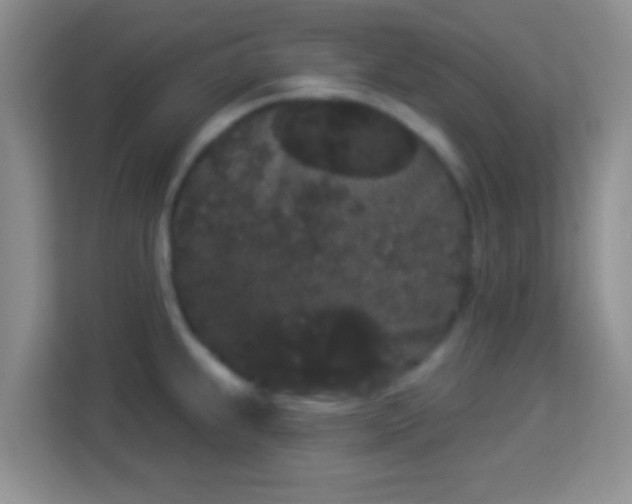 X0000113981239200910091311