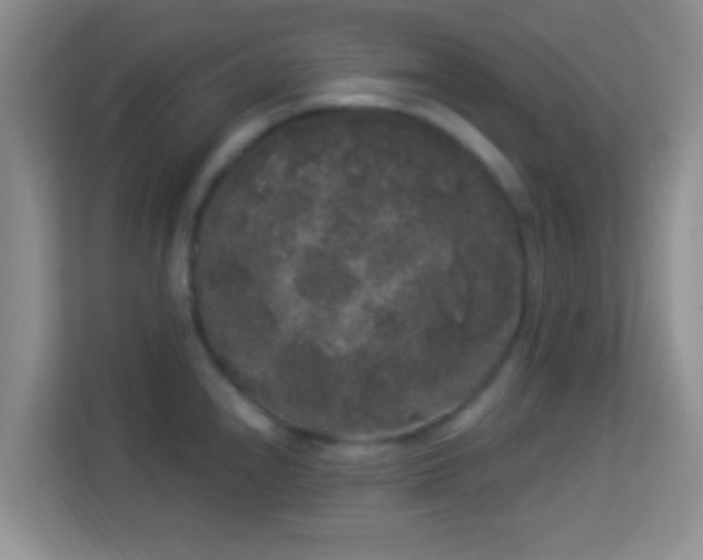 X0000113981240200910091311