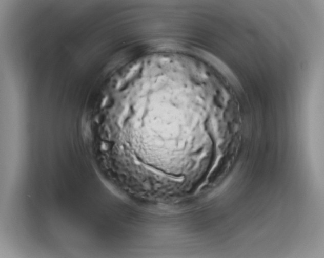 X0000113981241200910091311