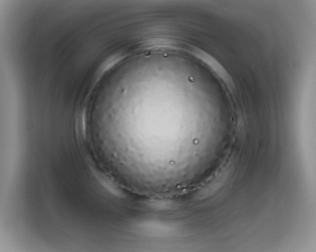 X0000113981242200910091311