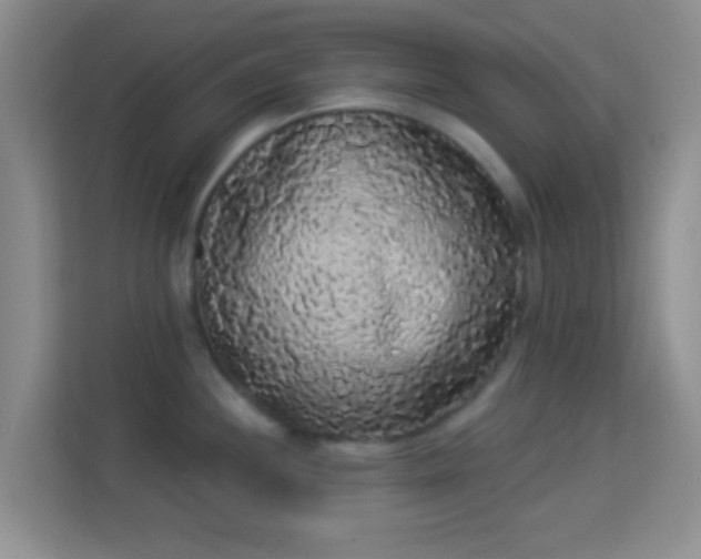 X0000113981244200910091311