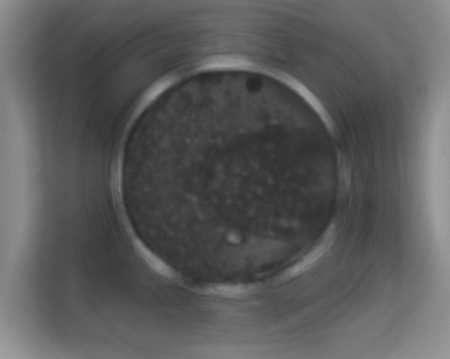 X0000113981245200910091311