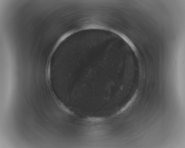 X0000113981246200910091311