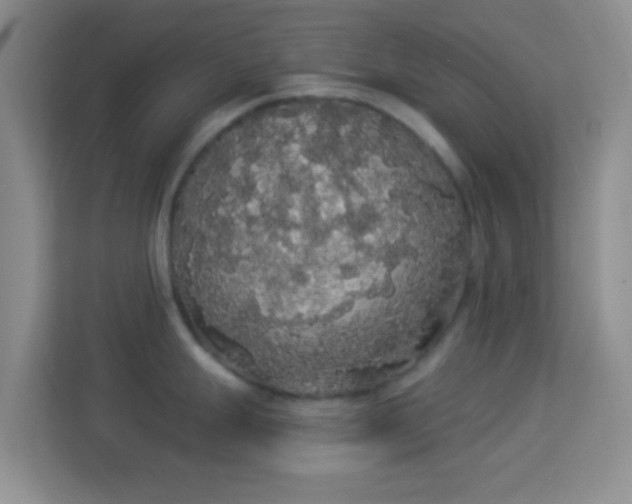 X0000113981247200910091311