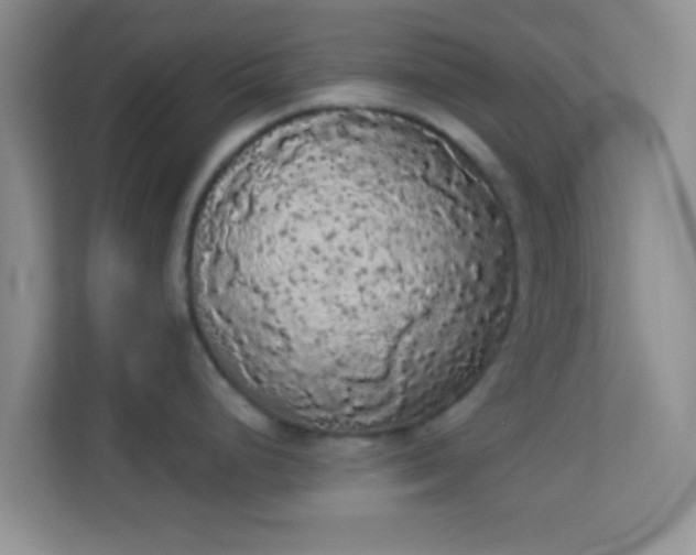 X0000113981248200910091311