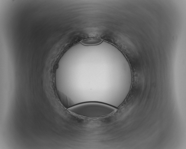 X0000113981249200910091311