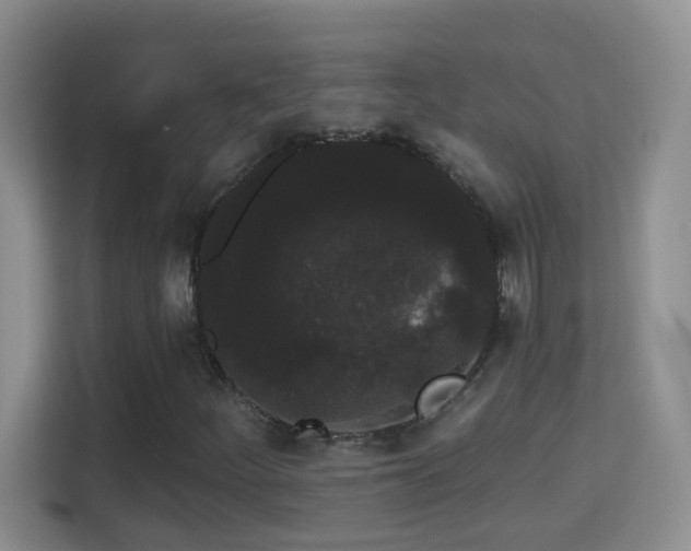 X0000113981252200910091311