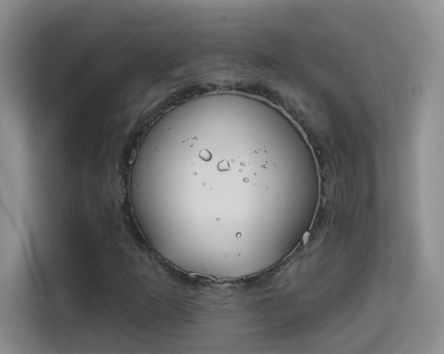 X0000113981253200910091311