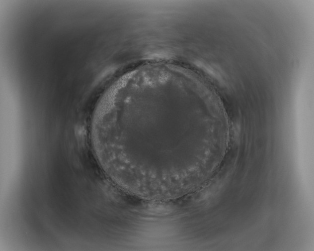 X0000113981254200910091311