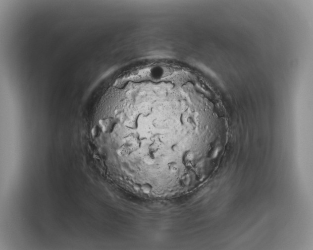 X0000113981255200910091311