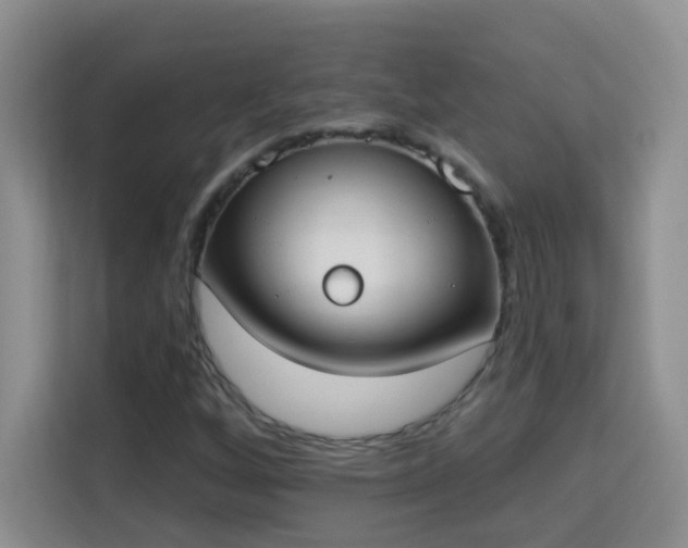 X0000113981256200910091311