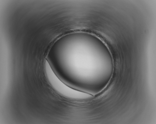 X0000113981257200910091311