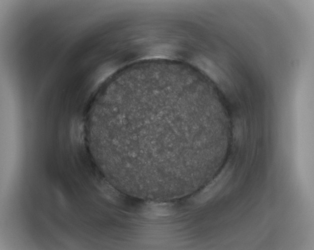 X0000113981258200910091311