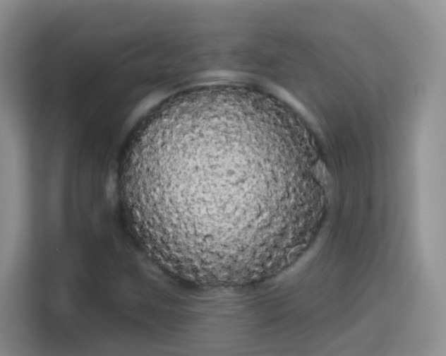 X0000113981259200910091311