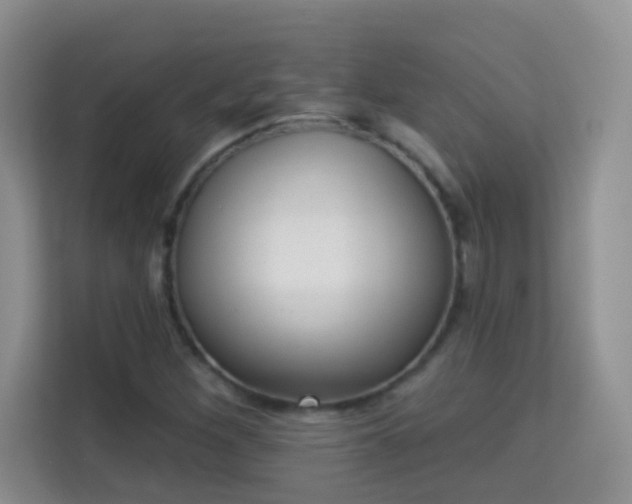 X0000113981260200910091311