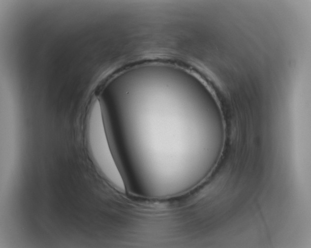 X0000113981261200910091311