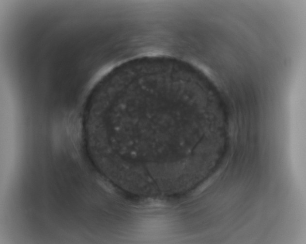 X0000113981263200910091310