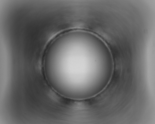 X0000113981264200910091310