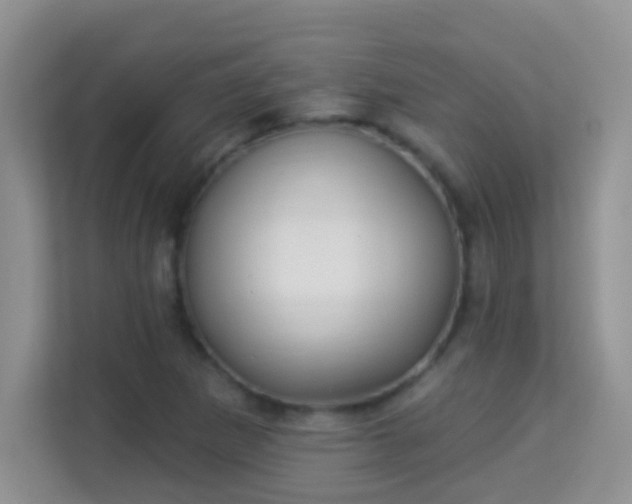 X0000113981265200910091310