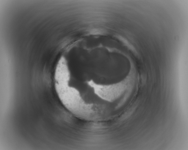 X0000113981266200910091310