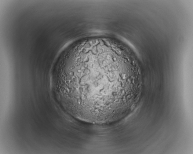 X0000113981267200910091310