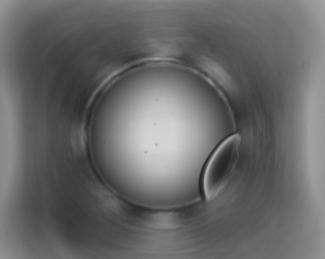 X0000113981268200910091310