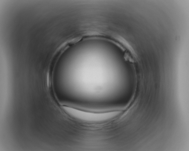 X0000113981269200910091310