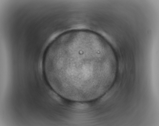 X0000113981270200910091310