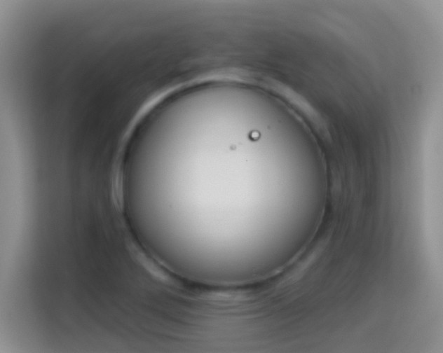 X0000113981272200910091310