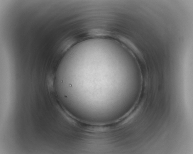 X0000113981273200910091310