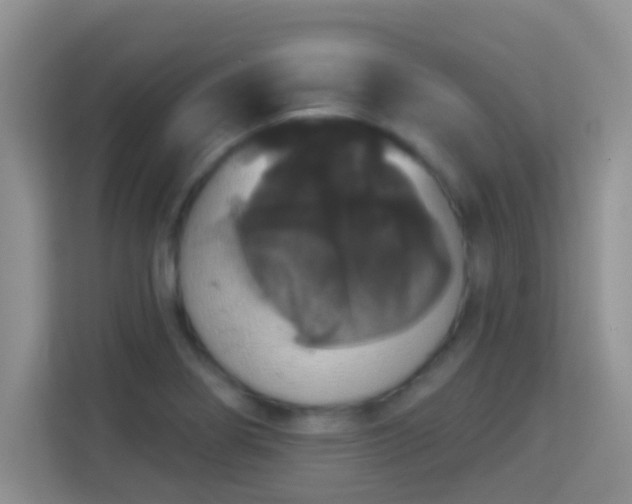 X0000113981274200910091310