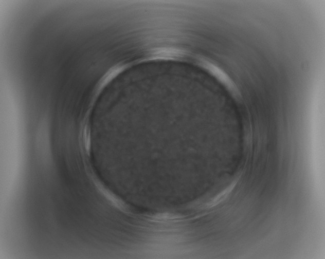 X0000113981275200910091310