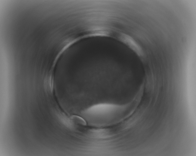 X0000113981276200910091310