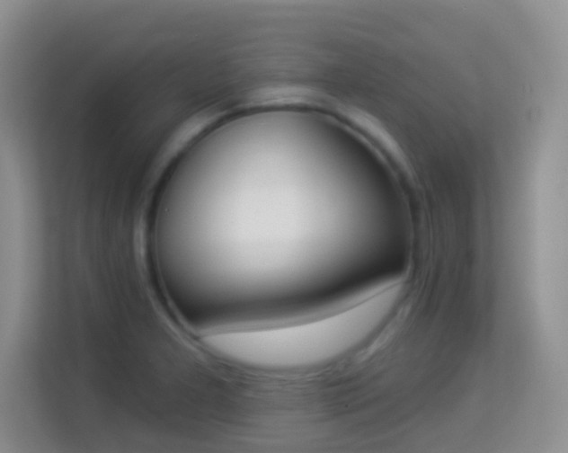 X0000113981277200910091310