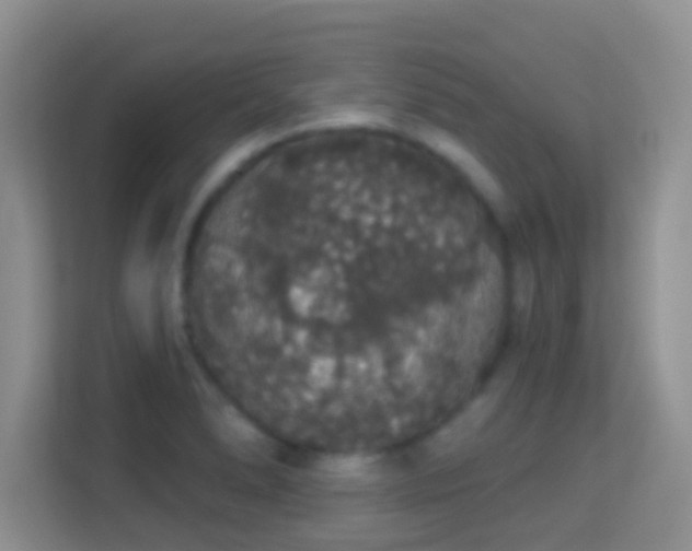 X0000113981278200910091310