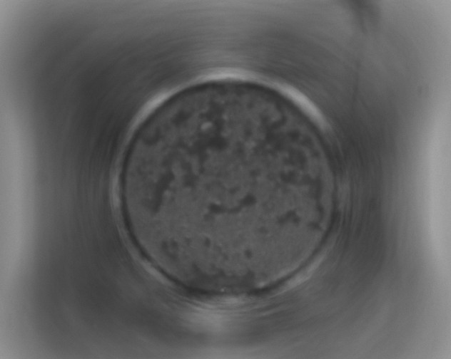 X0000113981279200910091310