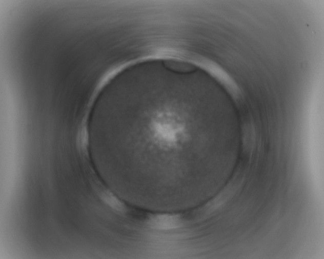 X0000113981280200910091310