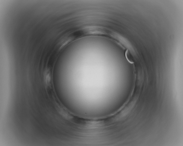 X0000113981281200910091310