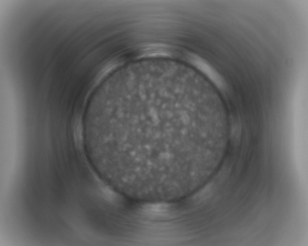 X0000113981282200910091310