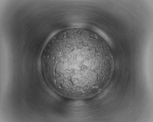 X0000113981283200910091310