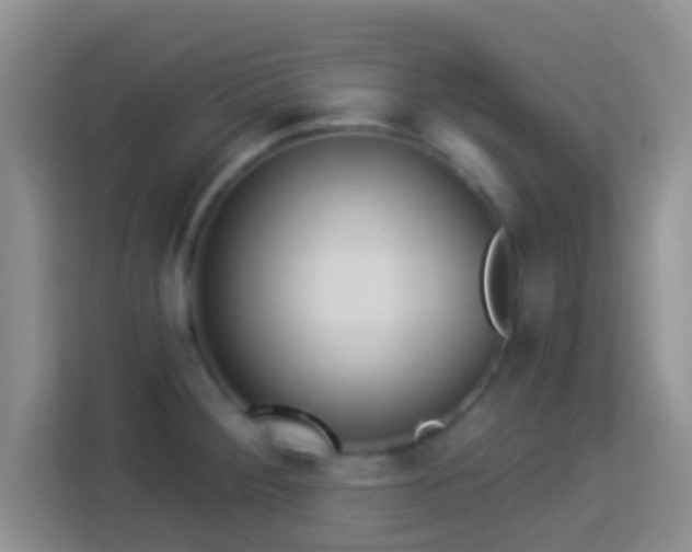 X0000113981284200910091310