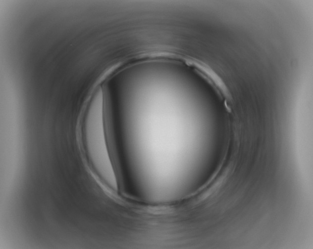 X0000113981285200910091310