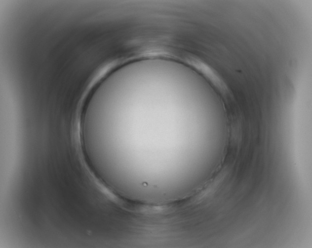 X0000113981286200910091310