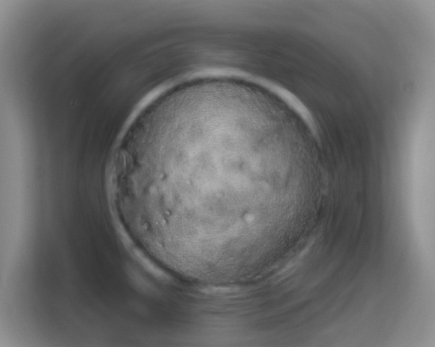 X0000113981287200910091310