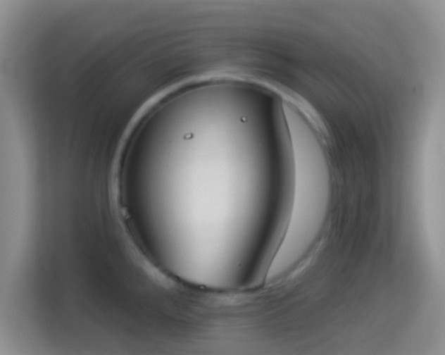 X0000113981288200910091310