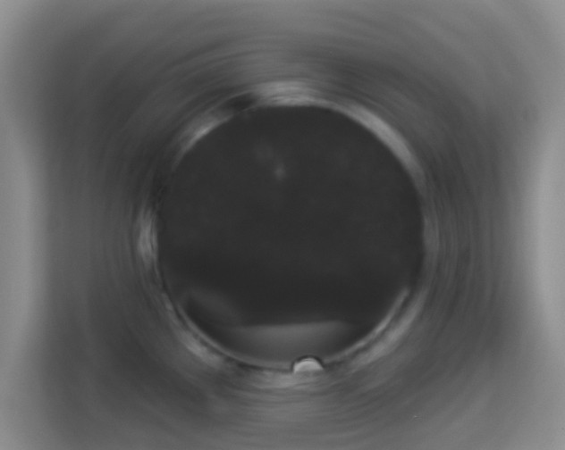 X0000113981289200910091310