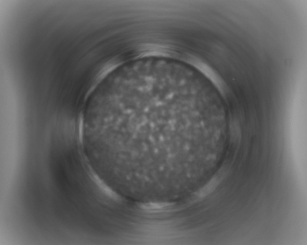 X0000113981290200910091310